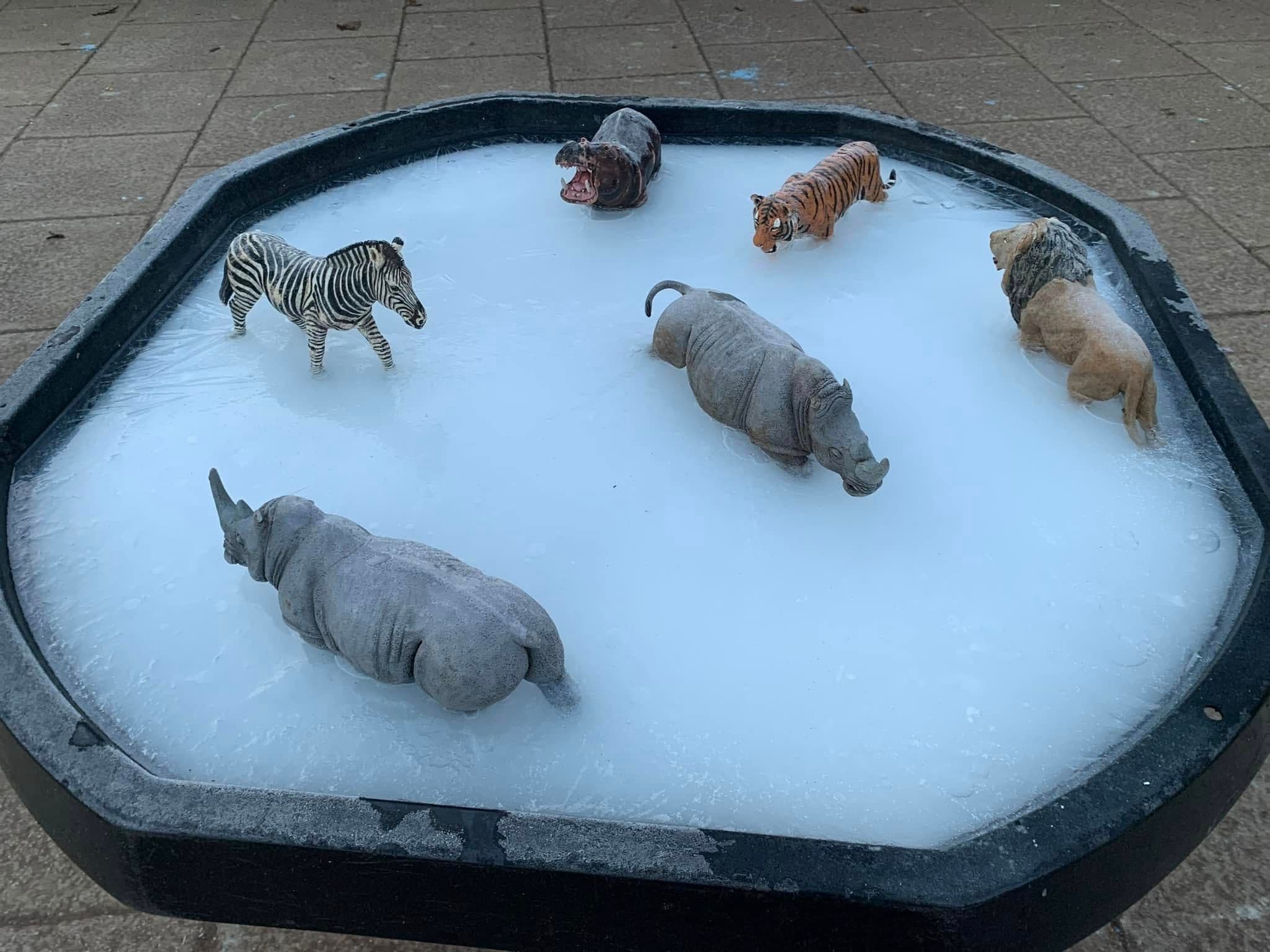 An Arctic small-world tuff tray with polar animal figures set in white foam.